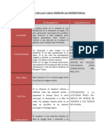 Fundamentos de la anemia: causas, signos y diagnóstico