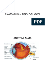 Anatomi Dan Fisiologi Mata