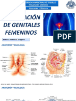 Exploración de Genitales Femeninos