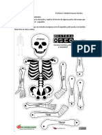 Guía Recortable Esqueleto Ciencias 2.S