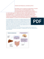 Mediante Que Mecanismos Se Produce La Encefalopatia Hepatica