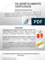 Alimentos Modificados Geneticamente