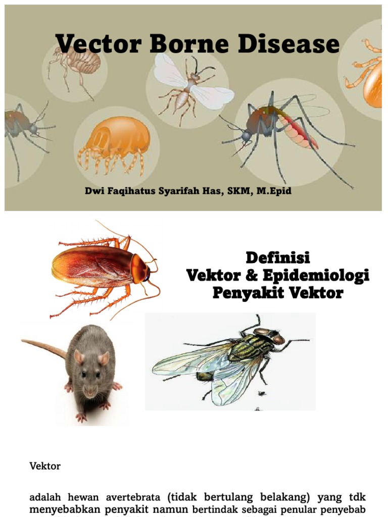 Vektor Borne Disease TM 4 | PDF