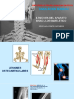 Simulacion (5) - Lesiones Osteoarticulares