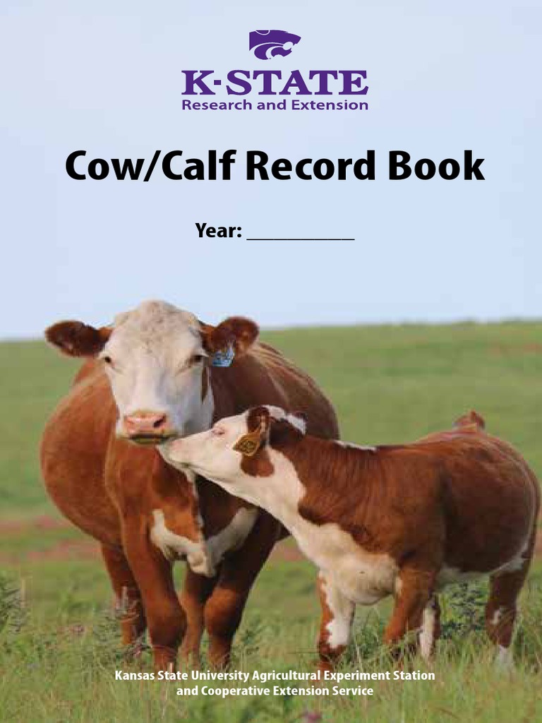 Cow/Calf Record Book Year PDF Calf Cattle