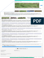 5 A 1.5-Year-Old Acacia Abyssinica Developing A Horizontal Habit... Download Scientific Diagram