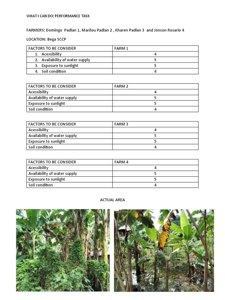 What I Can Do: Performance Task | PDF | Home & Garden | Science ...