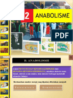 Anabolisme