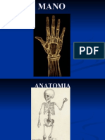 Mano Biomecanica