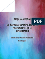 Mapa Conceptual PTH - VMMM