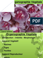 Organographie Végétale, Appareil Reproducteur (Fruits, Sans Coordonnées), 2021-2022