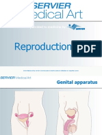 Reproduction: A Service Provided To Medicine by A Service Provided To Medicine by