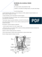 Patología Benigna de La Glándula Tiroides