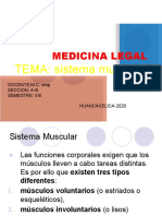 seminario 2  musculos del cuerpo