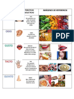 Caracteristicas Organolecticas: Imágenes de Referencia