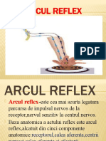 Arcul Reflex Neuro