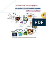 Los Seres Vivos y Sus Niveles de Organización Primero de Sec