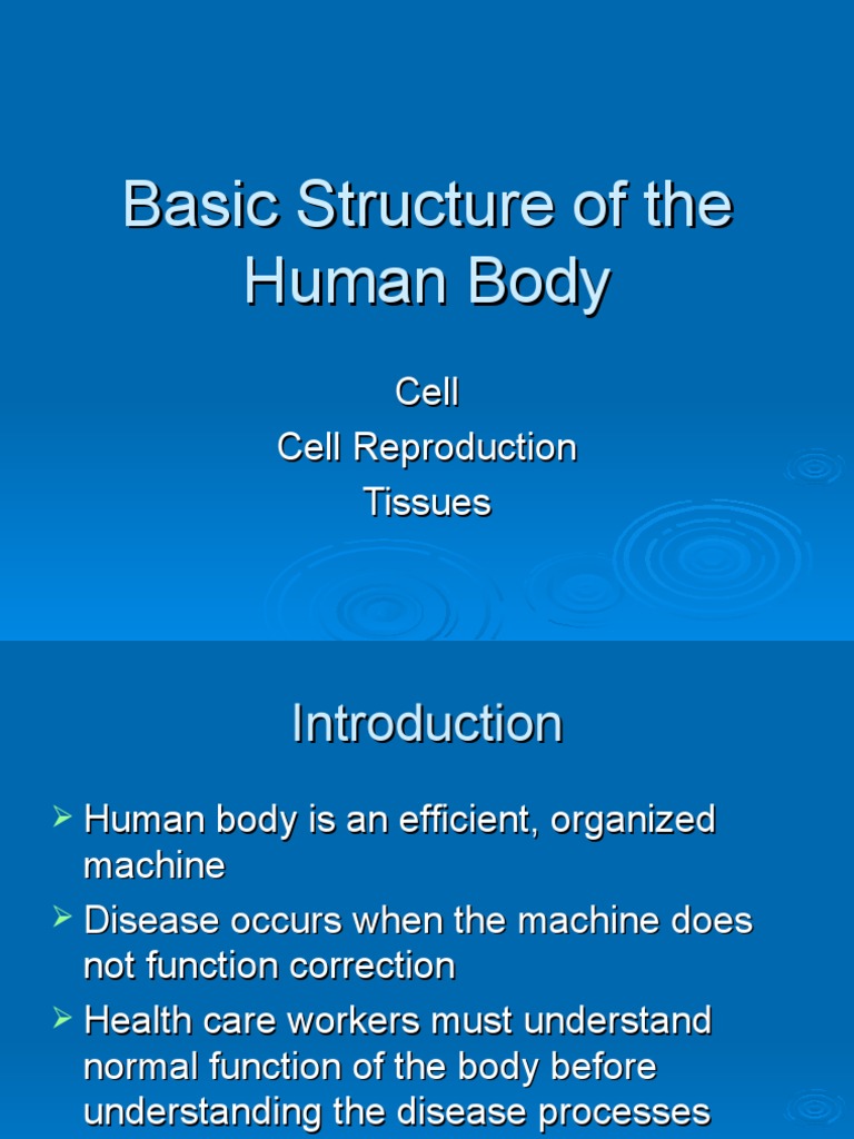 Basic Structure of The Human Body | PDF | Human Body | Cell (Biology)