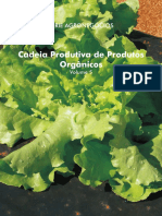 Cadeia Produtiva de Produtos Orgânicos