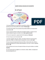 Tercer Examen Parcial Biologia de Eucariotes