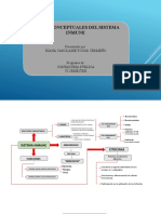 Mapas Conceptuales Sistema Inmune - Alergias Alimentarias