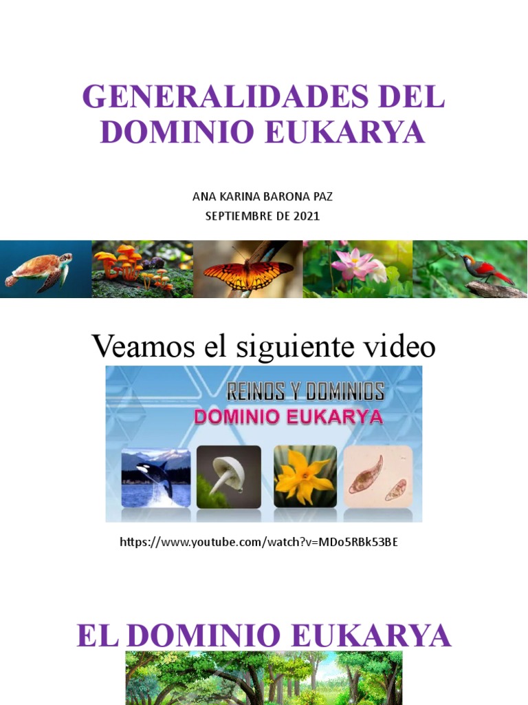 Generalidades Del Dominio Eukarya | PDF