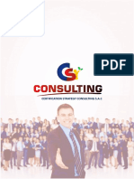 Informes Curso BRGS V.8 - Consulting S.A.C