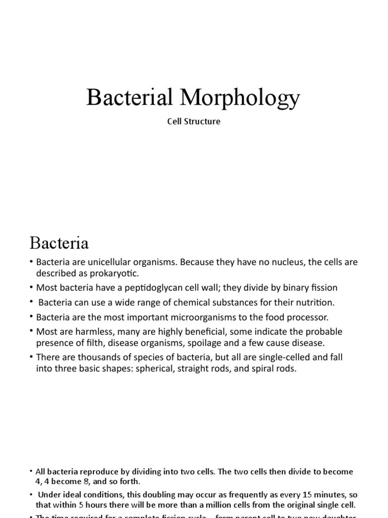 Bacterial Cell Structure Guide | PDF | Bacteria | Cell Membrane