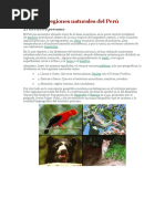 Las Ocho Regiones Naturales Del Perú