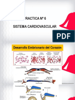Clase 6 - Practica - Embrio Corazon Sist. Arterial