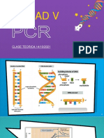 Clase Acidos Nucleicos2 - Solo PCR1