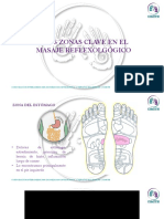 Tres Zonas Anatomicas Reflexologia