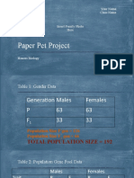 Paper Pet Final Product Template