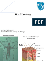 Skin Histology 1