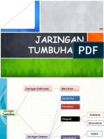 Jaringan Tumbuhan