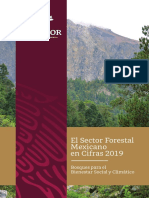 México en cifras forestales 2019: 66 millones de hectáreas de bosques