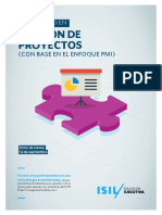 d-gestion-de-proyectos-con-enfoque-pmi