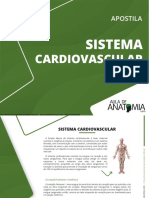 Aula de Anatomia - Sistema Cardiovascular