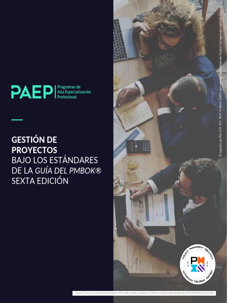 PMBOK - v2 | PDF | Profesional en el manejo de proyectos | Gestión de ...