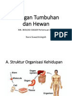 Jaringan Tumbuhan Dan Hewan