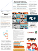 Triptico Feminismo Junio