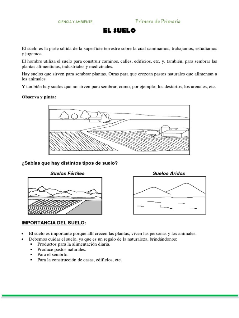 El Suelo para Primero de Primaria | Descargar gratis PDF | Suelo | Plantas