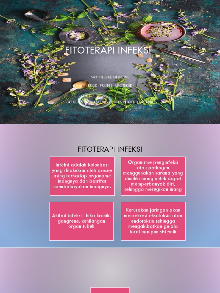 Fitoterapi untuk Mengatasi Infeksi | PDF