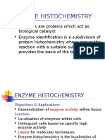 Enzyme Histochemistry 2