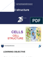 Cell Structure - Bio - Yr91
