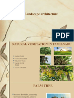 Natural Vegetation in Tamil Nadu: Palm, Coconut, Mango, Jackfruit & Banyan Trees