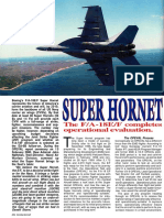 FA-18 E, F Super Hornet - Combat Aircraft
