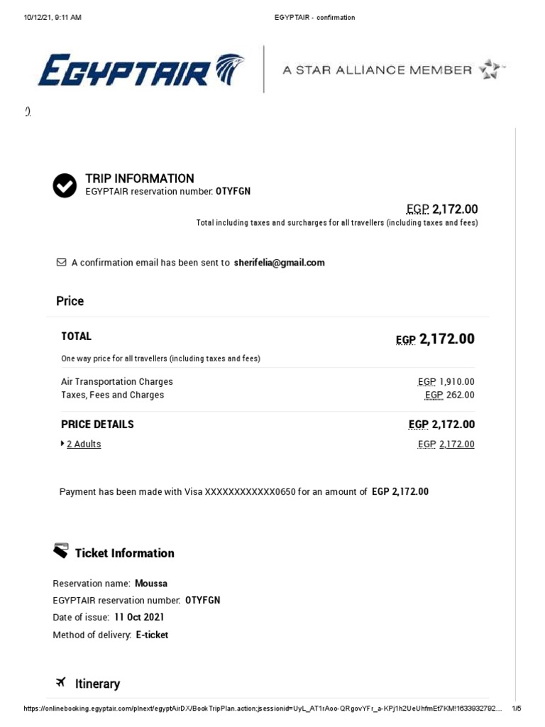 EGYPTAIR Confirmation PDF Baggage Aviation