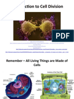 Introduction To Cell Division: Animated Mitosis Actual Cells Going Through Cell Division Animated Mitosis