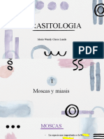 Moscas, Miasis y Dipteros de Importancia Medica